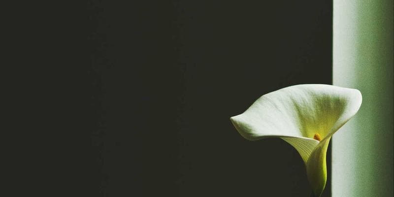 Securing Millions of Transactions for a Leading Payment Gateway